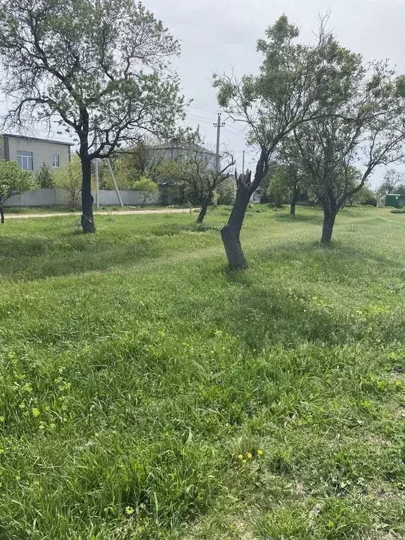 Участок в Севастополь с. Орловка, ш. Качинское (6.2 сот.) - Фото 0