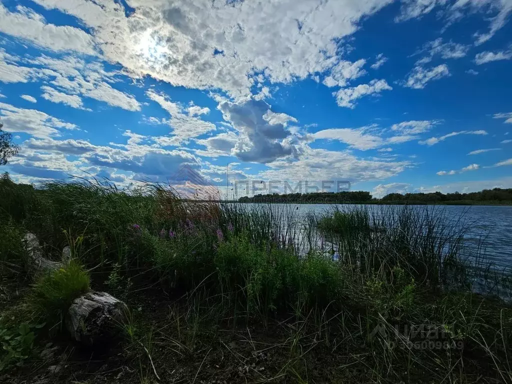 Участок в Волгоградская область, Городищенский район, Вертячинское ... - Фото 1