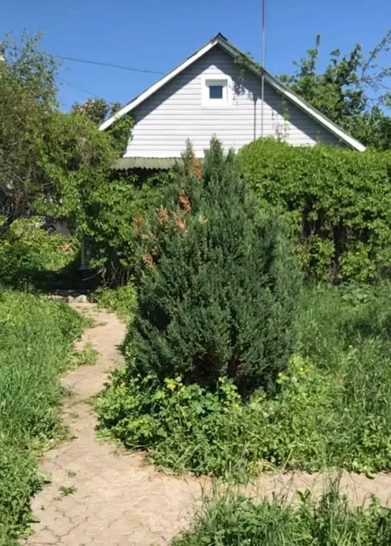 Дом в Московская область, Люберцы городской округ, с. Верхнее Мячково, ... - Фото 1