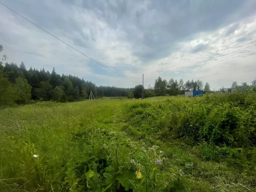Участок в Московская область, Сергиево-Посадский городской округ, д. ... - Фото 0