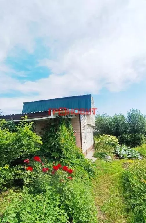 Дом в Новосибирская область, Искитим Связист садовое товарищество, ул. ... - Фото 2