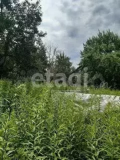Участок 11,7 сот. (ИЖС) - Фото 1