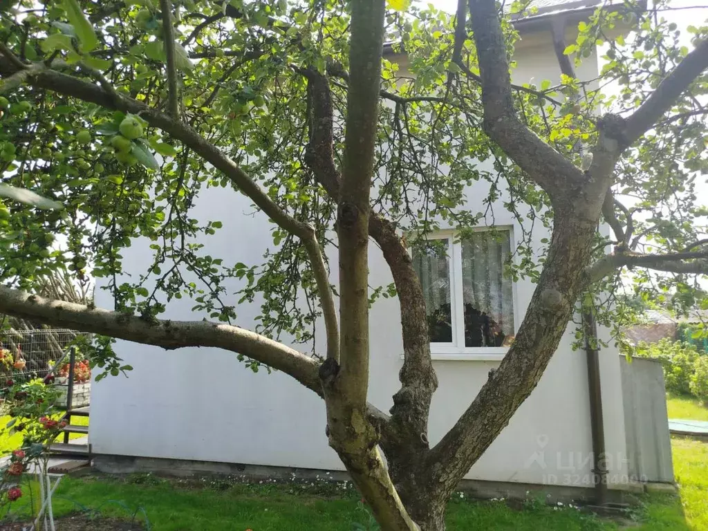 Дом в Калининградская область, Калининград Золотой Петушок ДНТ, проезд ... - Фото 2