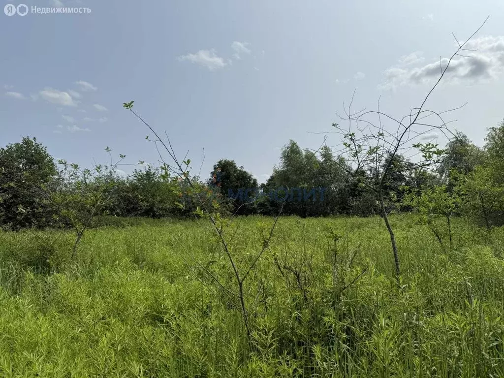 Участок в деревня Анкудиновка, улица Мира, 29 (8.8 м) - Фото 1