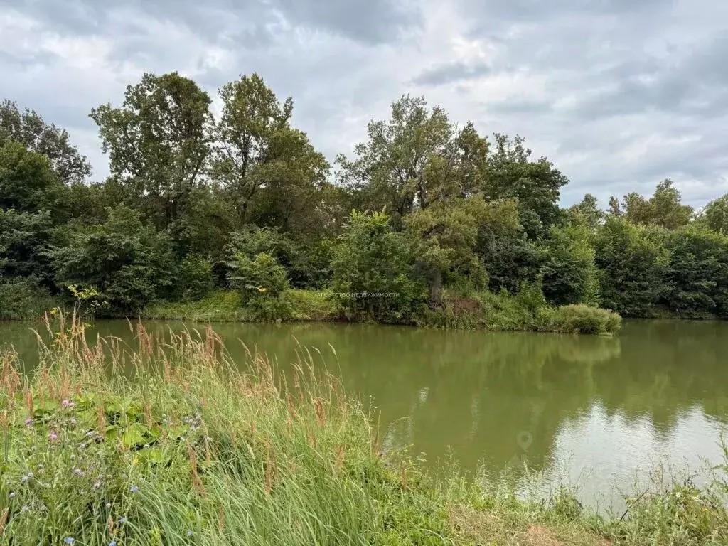Участок в Татарстан, Тукаевский район, Мелекесское с/пос, Дубрава СНТ  ... - Фото 2