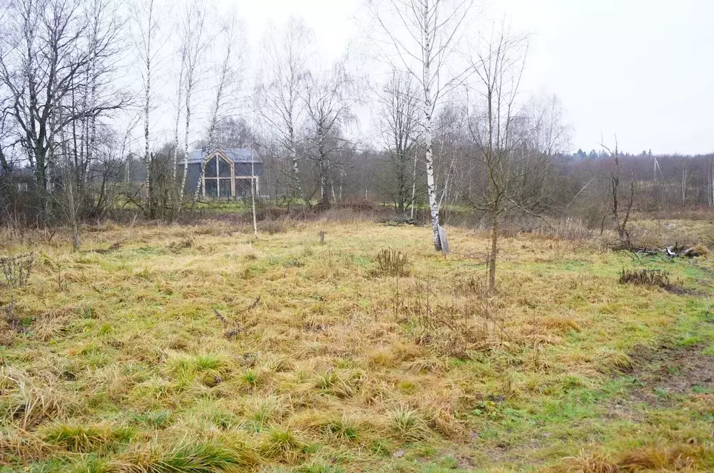 Участок в Московская область, Дмитровский муниципальный округ, д. ... - Фото 1