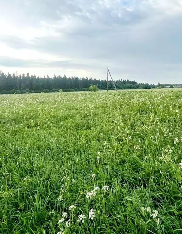 Участок, 14.8 сот., сельхоз (снт или днп) - Фото 0