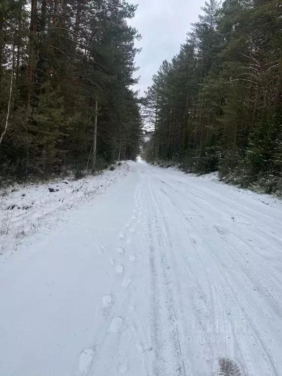 Участок в Красноярский край, Дивногорск городской округ, пос. ... - Фото 1