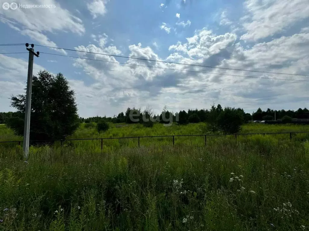 Участок в Нижегородская область, Городецкий муниципальный округ, ... - Фото 0