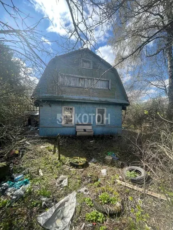 Участок в Ленинградская область, Никольское Тосненский район, Лесное-3 ... - Фото 1