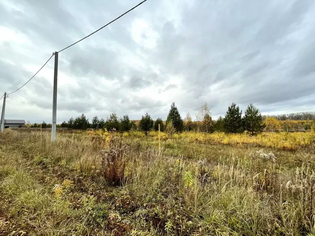 Участок в Нижегородская область, Богородский муниципальный округ, д. ... - Фото 1