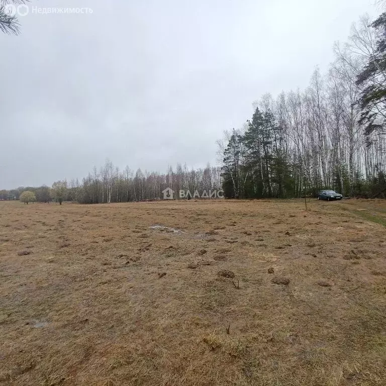 Участок в Владимирская область, Судогодский муниципальный округ, село ... - Фото 2