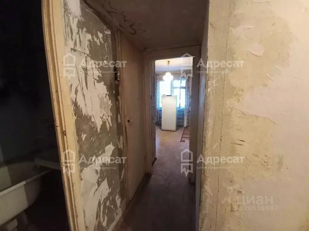 2-к кв. Волгоградская область, Волгоград ул. Космонавтов, 45а (50.1 м) - Фото 2