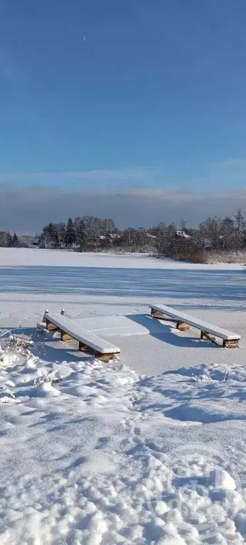 Участок в Новгородская область, Батецкий муниципальный округ, д. Малый ... - Фото 1