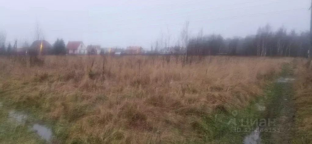 Участок в Московская область, Домодедово городской округ, с. Добрыниха ... - Фото 1