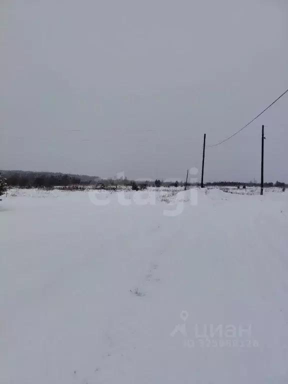 Участок в Свердловская область, Талицкий муниципальный округ, д. ... - Фото 1