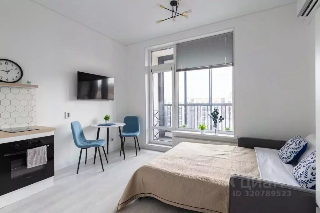 1-к кв. Санкт-Петербург Дальневосточный просп., 19к1 (23.0 м) - Фото 1