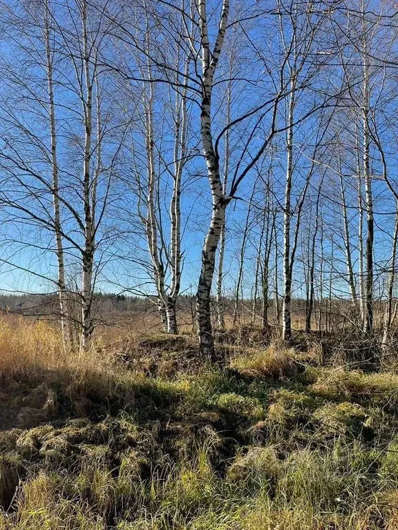 Участок в Ленинградская область, Всеволожск проезд Авторский, 4 (6.0 ... - Фото 0