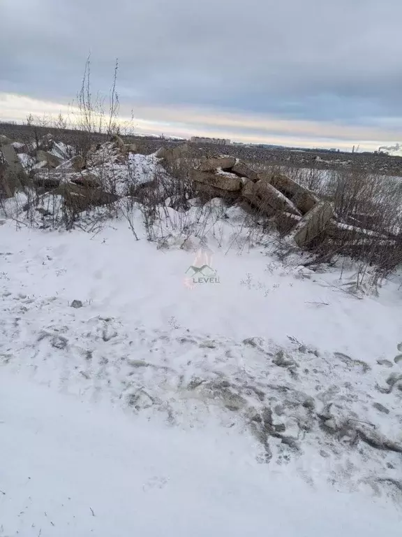 Участок в Саратовская область, Энгельсский район, Новопушкинское ... - Фото 2