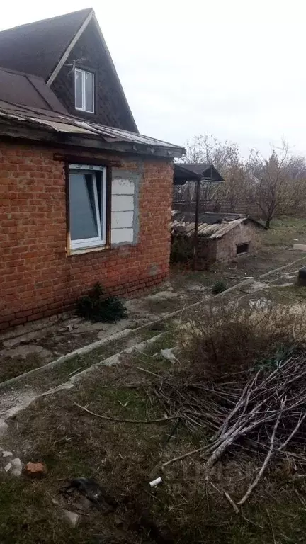 Участок в Ростовская область, Октябрьский район, Кривянское с/пос, ... - Фото 2