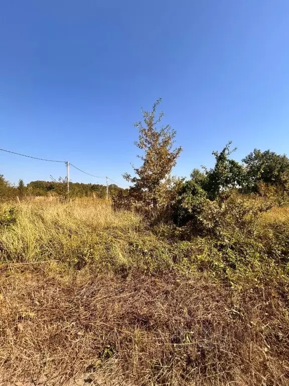 Участок в Краснодарский край, Северский район, Новодмитриевское с/пос, ... - Фото 0