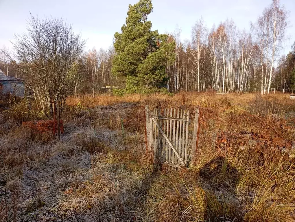 Участок в Владимирская область, Покров городской округ, д. Красный Луч ... - Фото 1