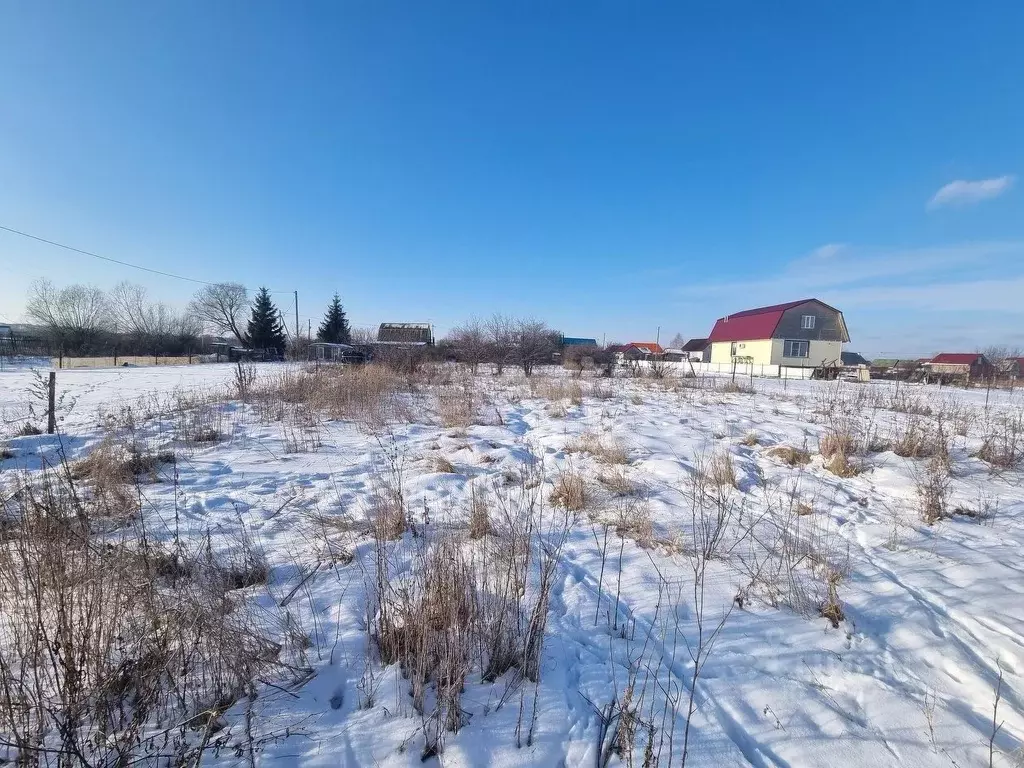 Участок в Тамбовская область, Тамбов городской округ, с. Бокино ул. ... - Фото 0