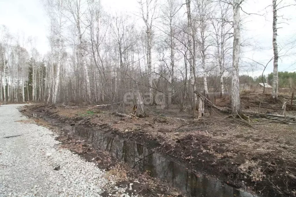Участок в Свердловская область, Верхняя Пышма городской округ, пос. ... - Фото 1