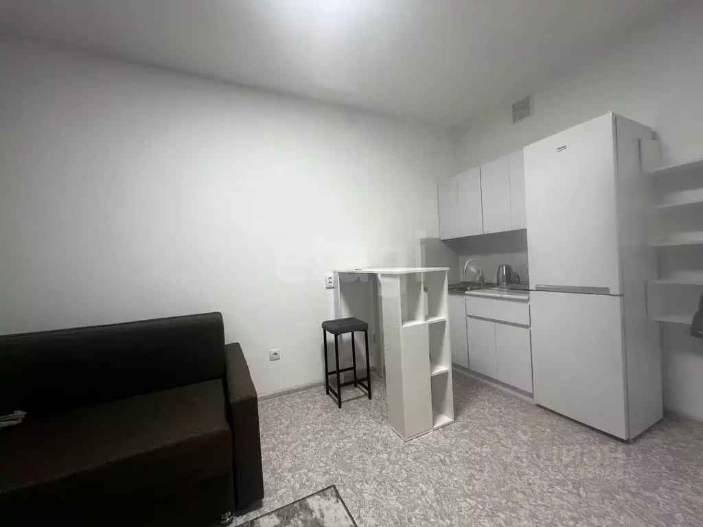 Студия Красноярский край, Красноярск ул. Лесников, 55 (23.0 м) - Фото 1