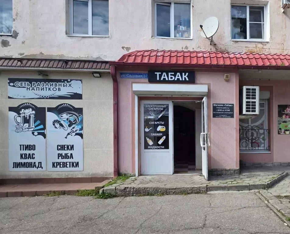 Помещение свободного назначения в Краснодарский край, Геленджик ул. ... - Фото 1