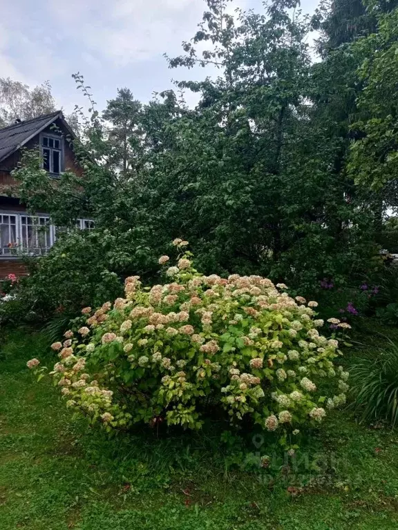 Дом в Ленинградская область, Всеволожский район, Куйвозовское с/пос, ... - Фото 1