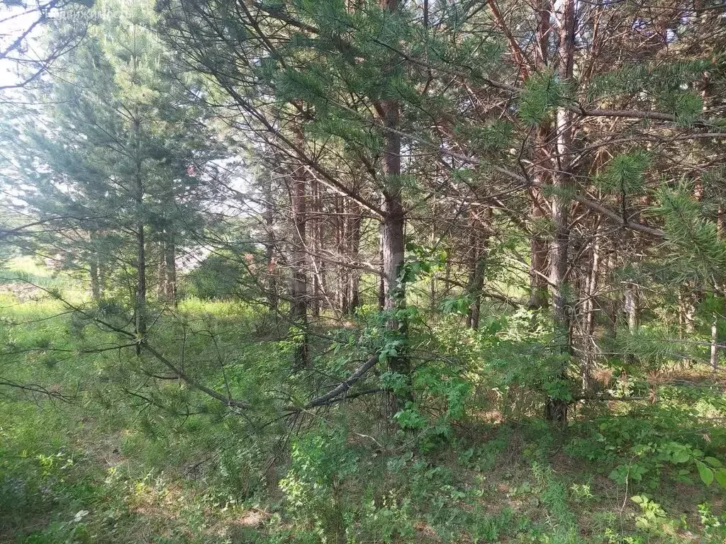 Участок в Нижний Тагил, Ленинский район (10 м) - Фото 1