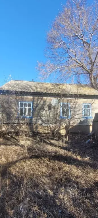 Дом в Саратовская область, Пугачевский район, с. Давыдовка  (52 м) - Фото 1