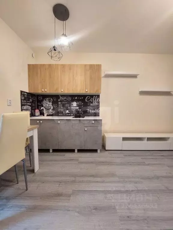 Студия Ленинградская область, Всеволожский район, Свердловское ... - Фото 2