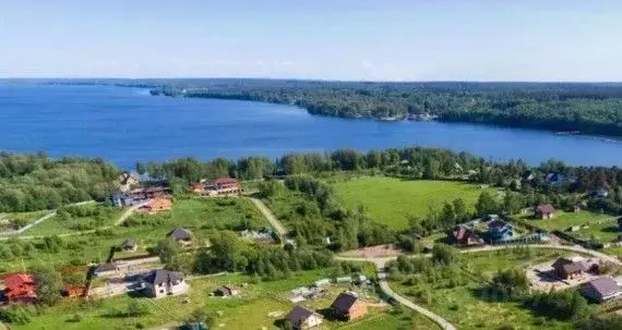 Участок в Ленинградская область, Выборгский район, Полянское с/пос, ... - Фото 1