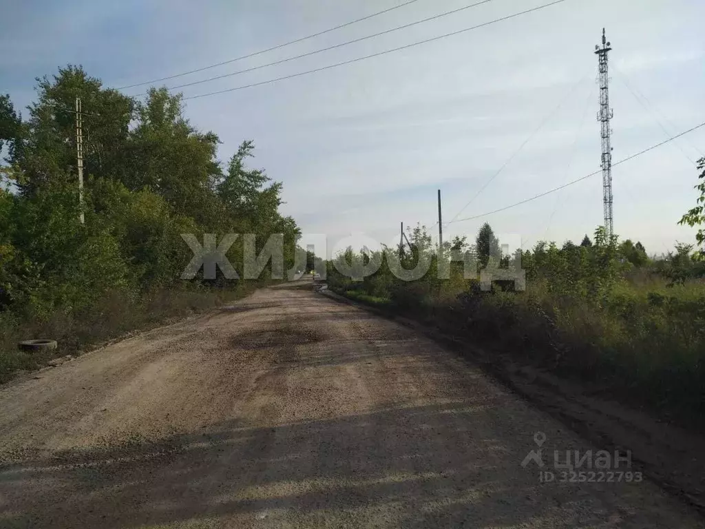 Участок в Новосибирская область, Искитимский район, пос. ... - Фото 1