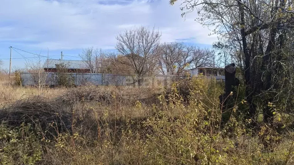 Участок в Краснодарский край, Ейское городское поселение, пос. ... - Фото 2