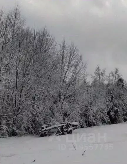 Участок в Московская область, Можайский муниципальный округ, д. ... - Фото 0