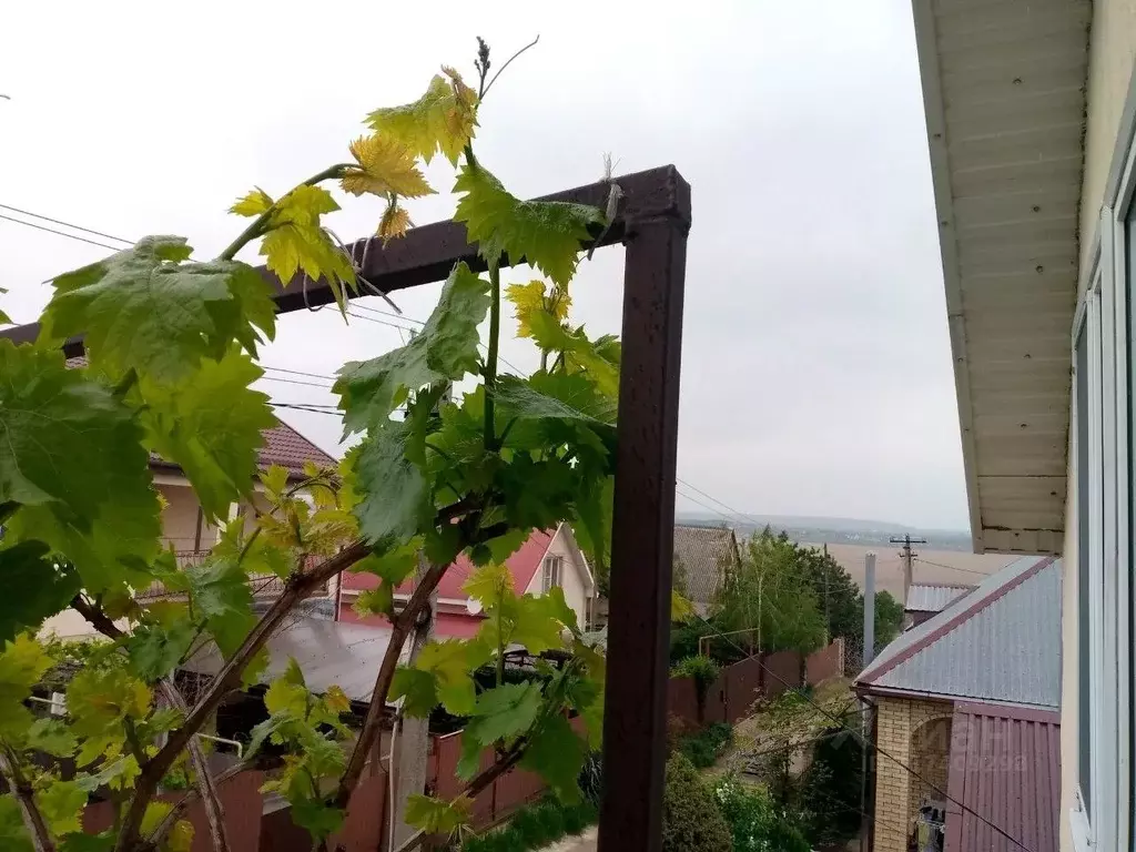 Дом в Краснодарский край, Анапа муниципальный округ, Анапская ст-ца ... - Фото 0