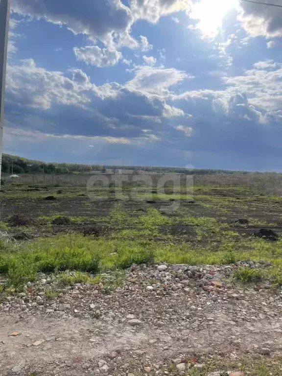 Участок в Воронежская область, Семилукский район, с. Девица ул. ... - Фото 0