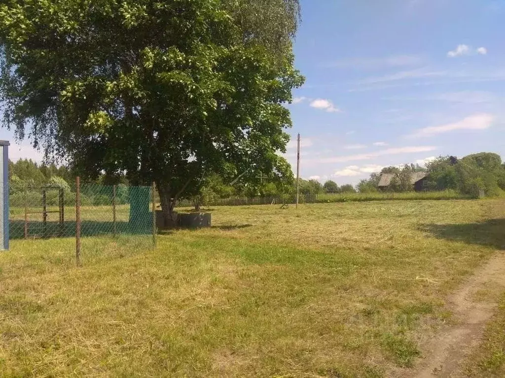 Участок в Новгородская область, Маловишерский район, Веребьинское ... - Фото 1