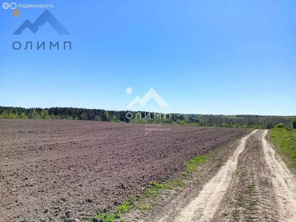 Участок в Вологодский муниципальный округ, деревня Андроново ... - Фото 1