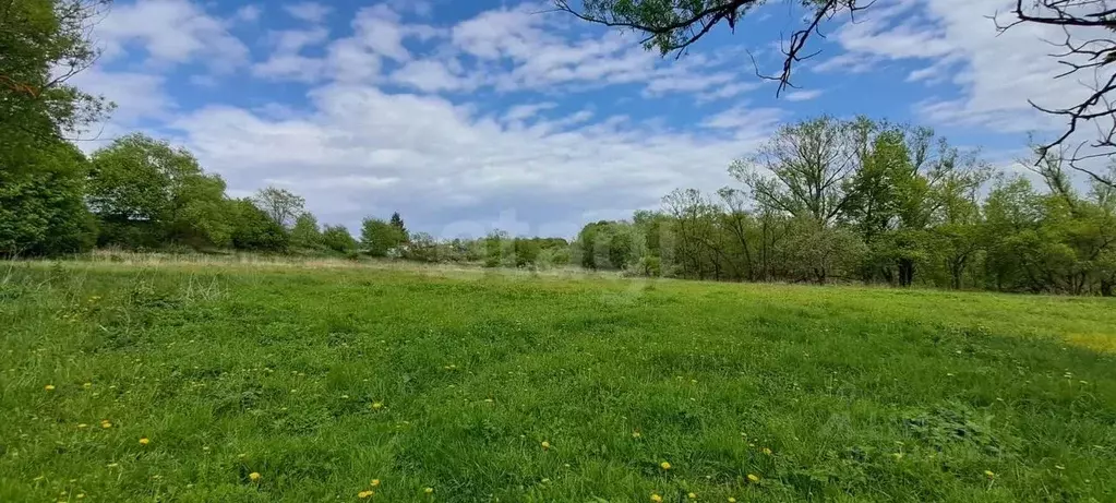 Участок в Тульская область, Алексин городской округ, пос. Мичурина  ... - Фото 1