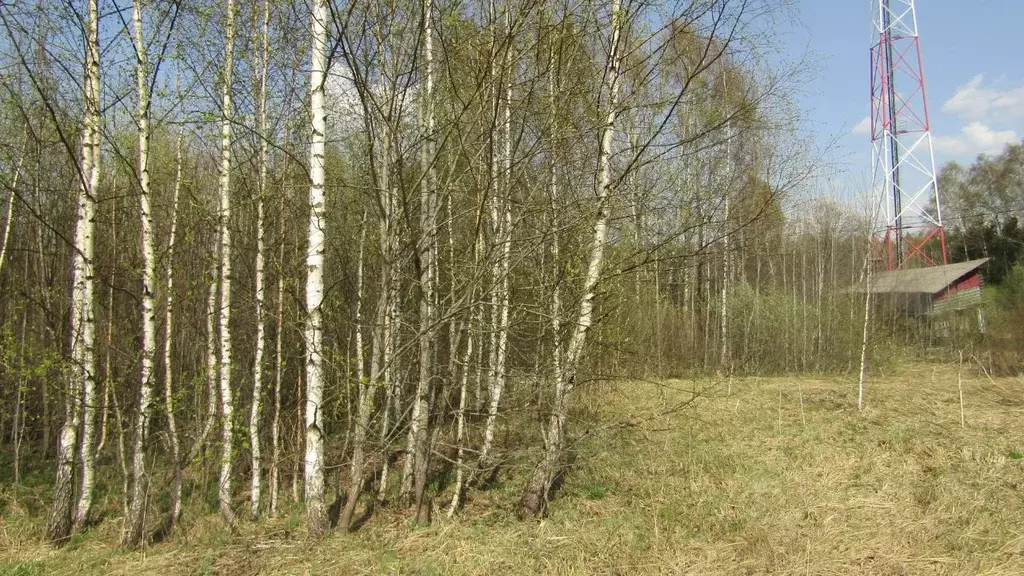 Участок в Московская область, Рузский муниципальный округ, д. Старо ... - Фото 0
