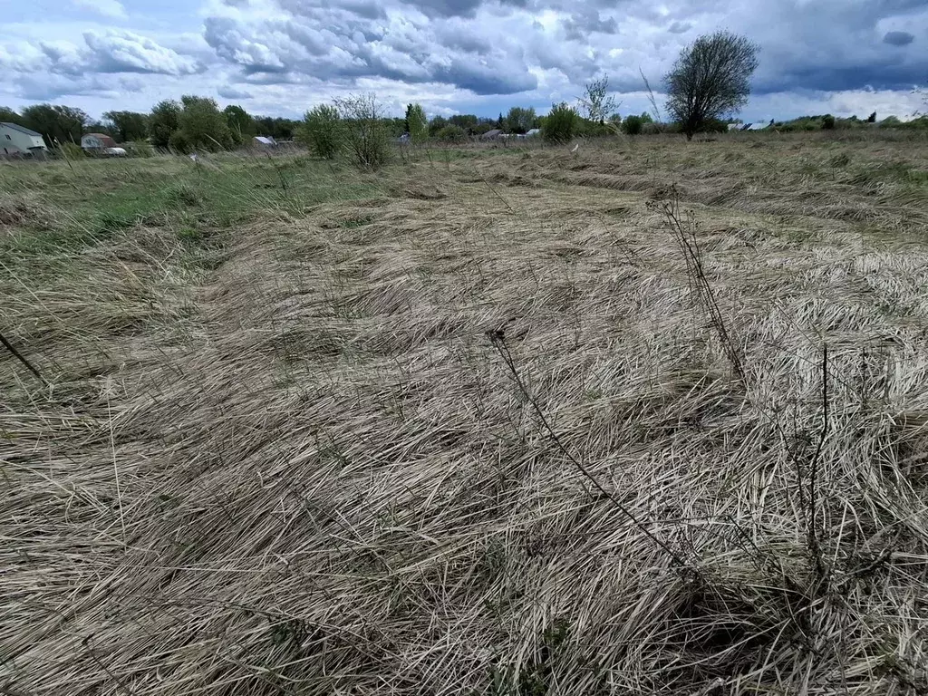 Участок 15 сот. (ИЖС) - Фото 1