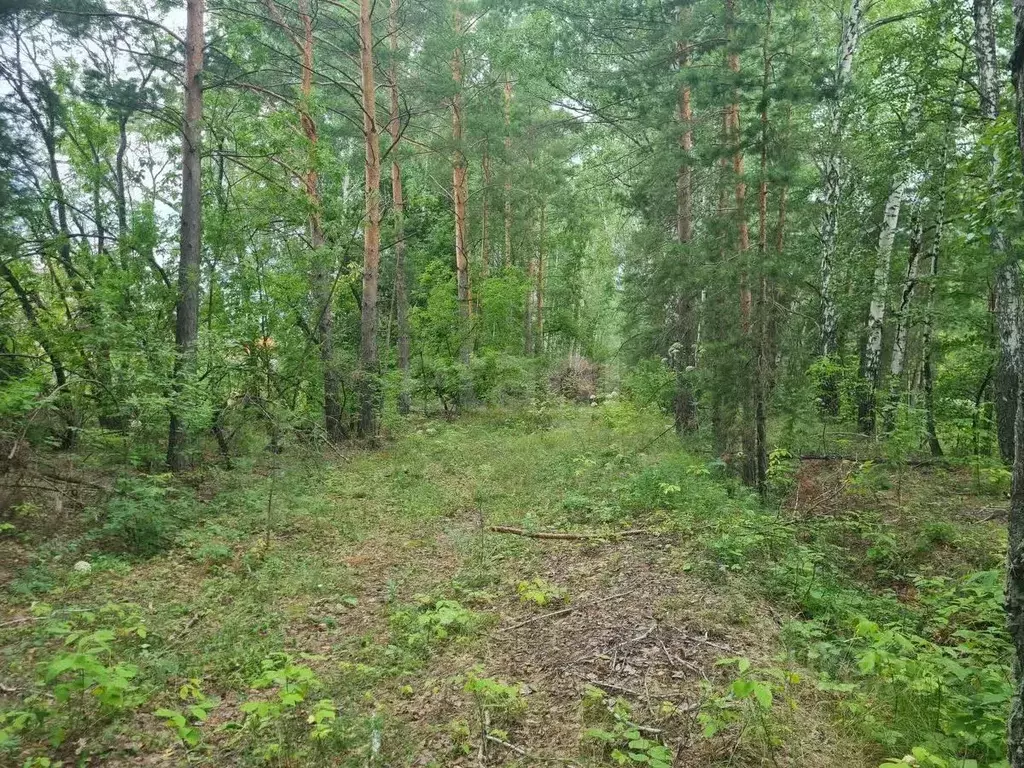 Участок в Тюменская область, Тюменский муниципальный округ, д. Ушакова ... - Фото 1