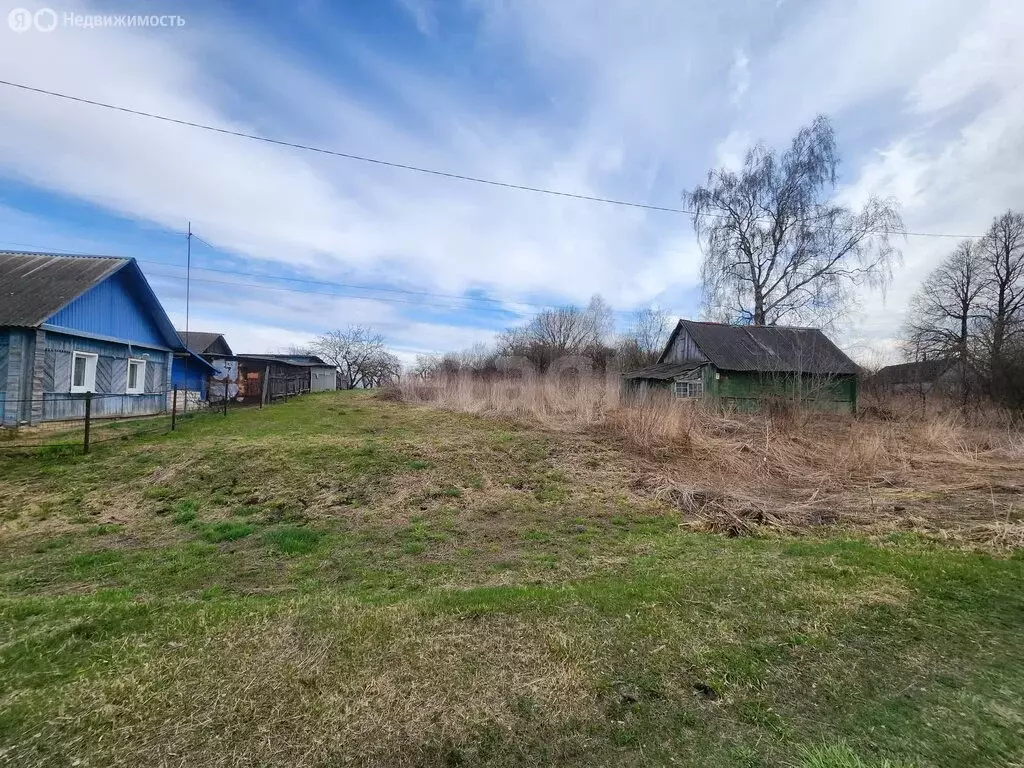 Участок в Брянская область, Жирятинское сельское поселение, деревня ... - Фото 2