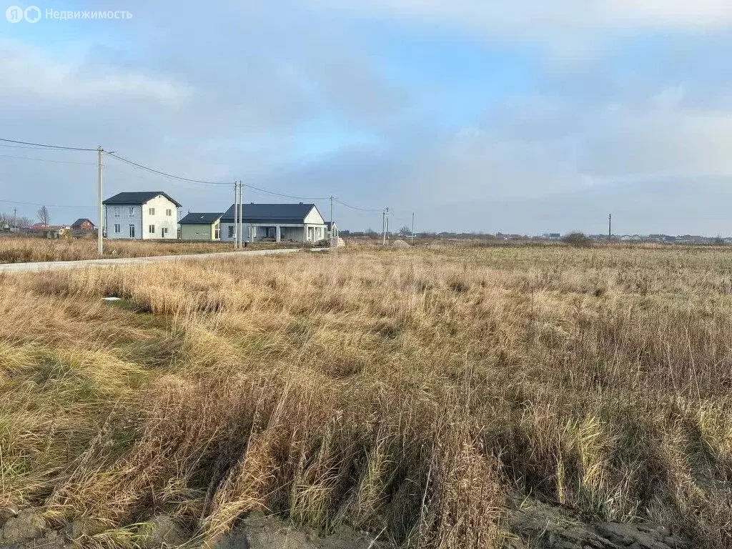 Участок в Калининградская область, Зеленоградский муниципальный округ, ... - Фото 2