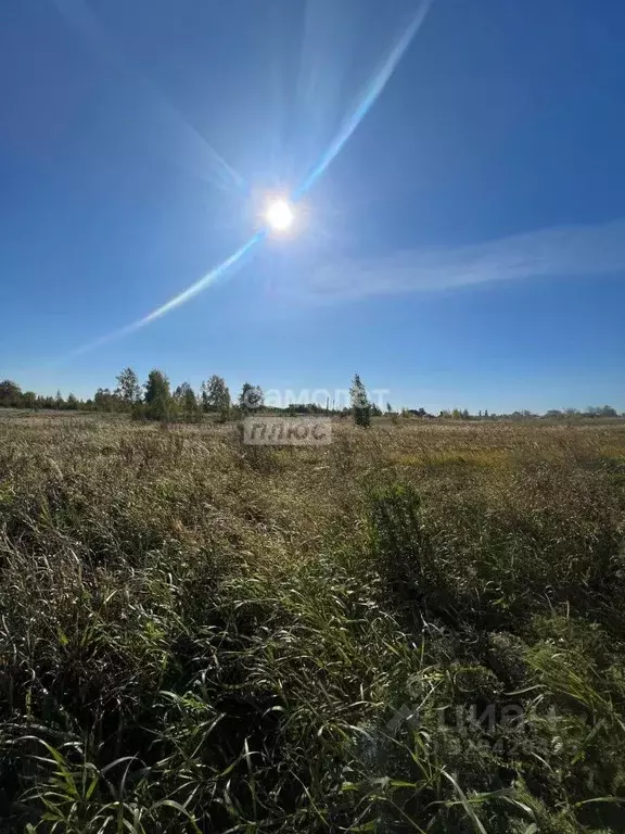 Участок в Челябинская область, Копейск ул. Разведчиков, 20 (10.0 сот.) - Фото 1