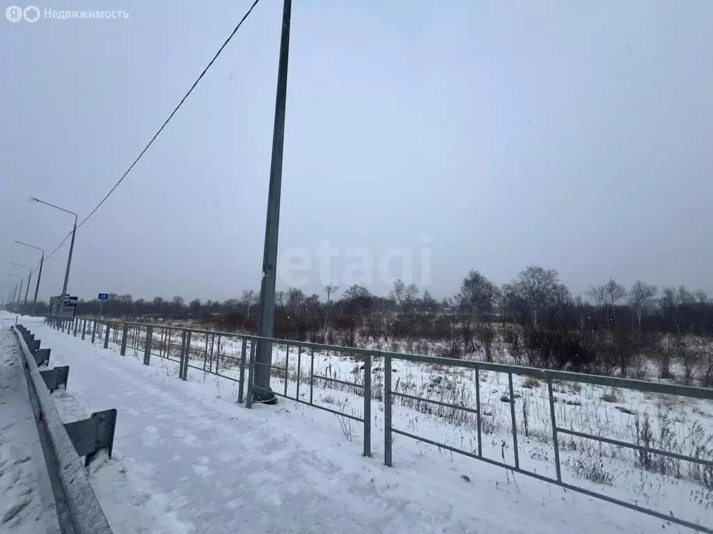 Участок в Камчатский край, Елизово (59 м) - Фото 2